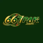 667pak game image