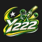y222 game image