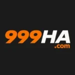 999ha game apk images