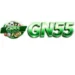 gn55 game