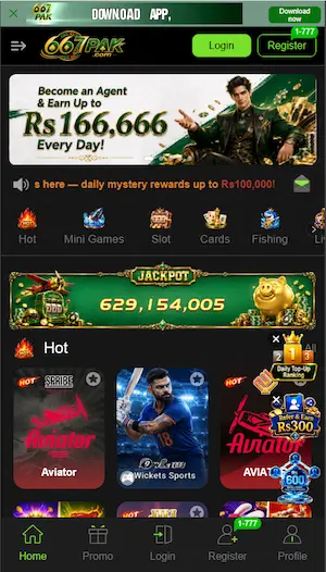 667pak game image