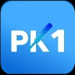 pk1 Game