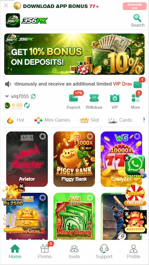 PAKPLAY game Images