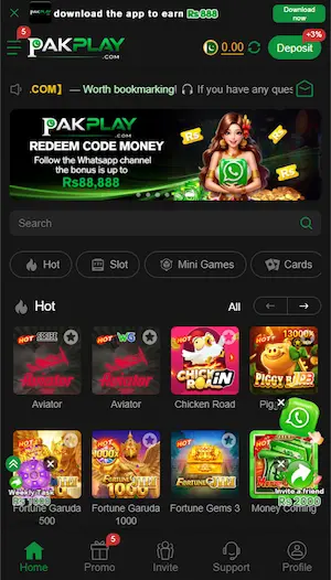 PAK PLAY Game