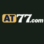 AT77 Game