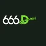 666D game